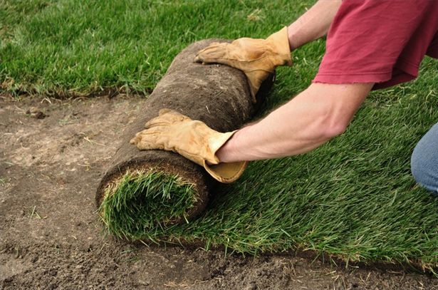 Sod-Lawn-Cost