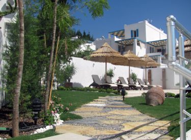 clup_mavi_projesi_11