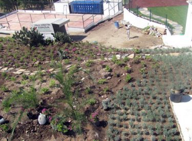 clup_mavi_projesi_21