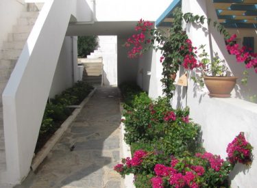 clup_mavi_projesi_35