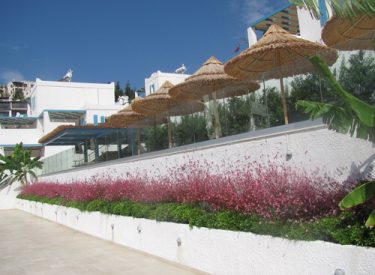 clup_mavi_projesi_41